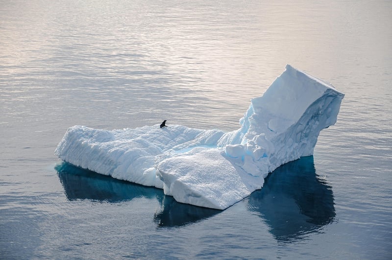 Arctic Expedition